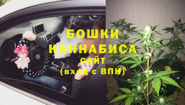 шишки Михайловка