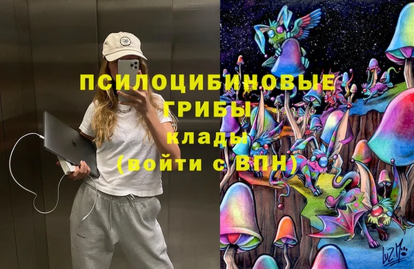 шишки Михайловка