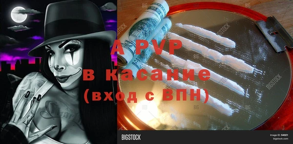 дмт Михайлов