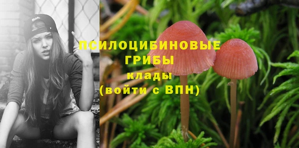 дмт Михайлов