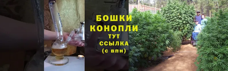 Каннабис Bruce Banner  Оленегорск 